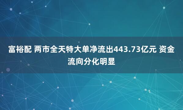 富裕配 两市全天特大单净流出443.73亿元 资金流向分化明显