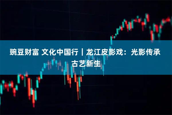 豌豆财富 文化中国行｜龙江皮影戏：光影传承 古艺新生